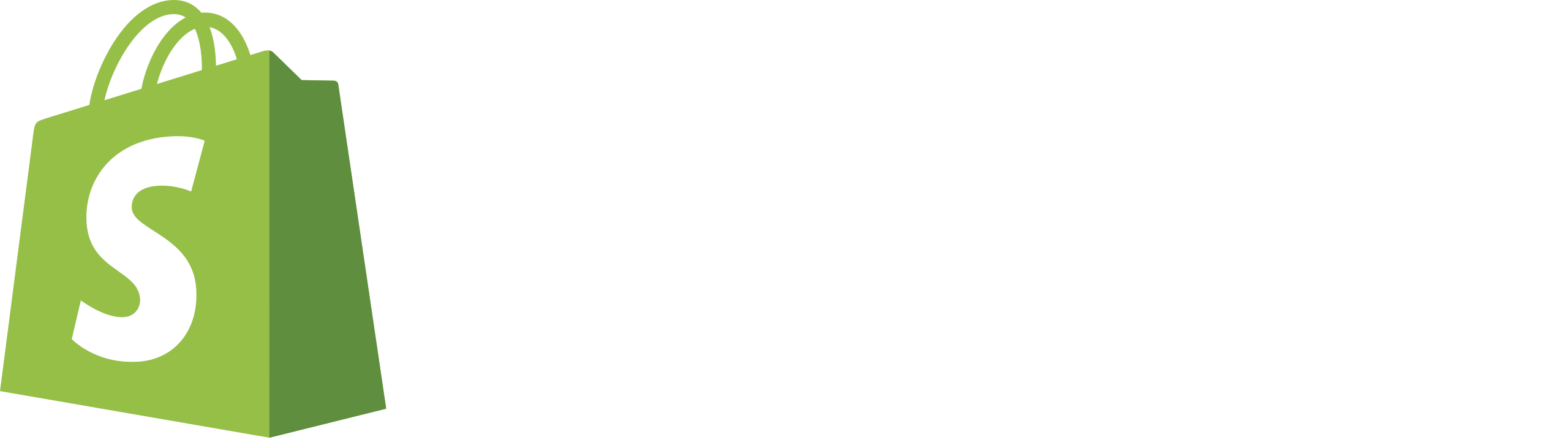 Faster checkout with Shopify!